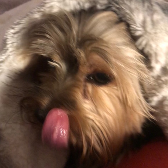 Authentic vintage Chanel keychain gold - Picture 10 of 13